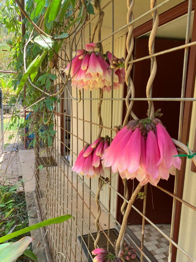 Spring Homestead Howard Springs エクステリア 写真
